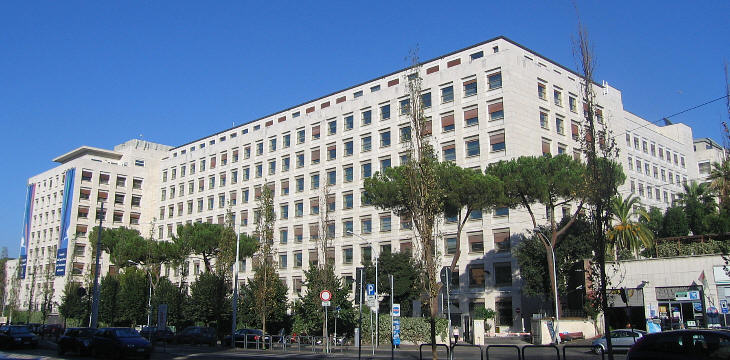 Palazzo della F.A.O.